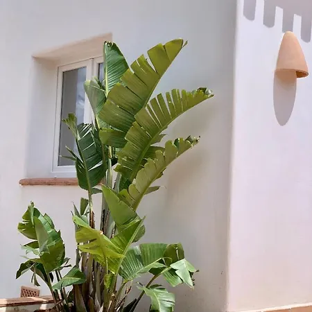 Balconet Casa vacanze Jávea