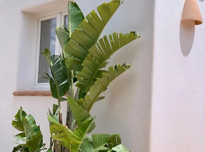 Balconet Prázdninový dům Jávea